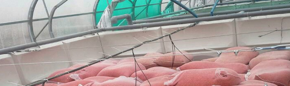 哈尔滨水稻育种机总代理批发兼零售，哈尔滨购网www.hrbgw.com送货上门,水稻育种机哈尔滨最低价格批发零售,哈尔滨购物网,哈尔滨购物送货上门。